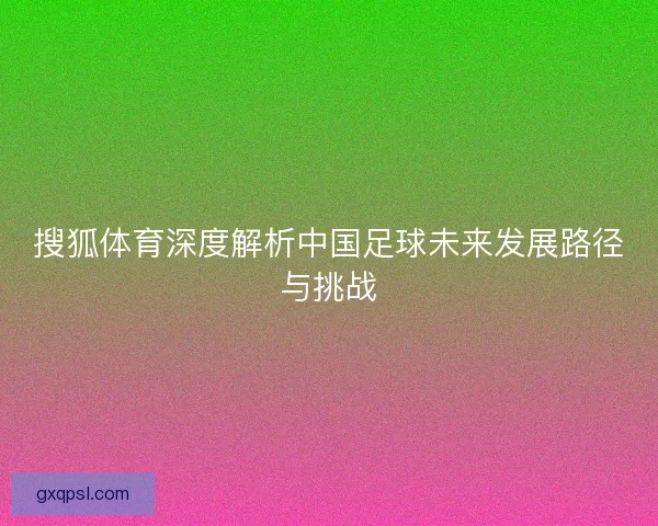 搜狐体育深度解析中国足球未来发展路径与挑战