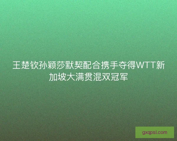 王楚钦孙颖莎默契配合携手夺得WTT新加坡大满贯混双冠军
