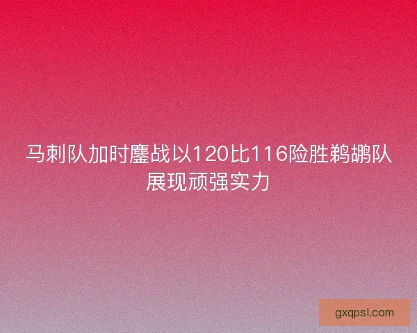 马刺队加时鏖战以120比116险胜鹈鹕队展现顽强实力