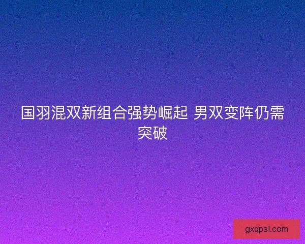 国羽混双新组合强势崛起 男双变阵仍需突破